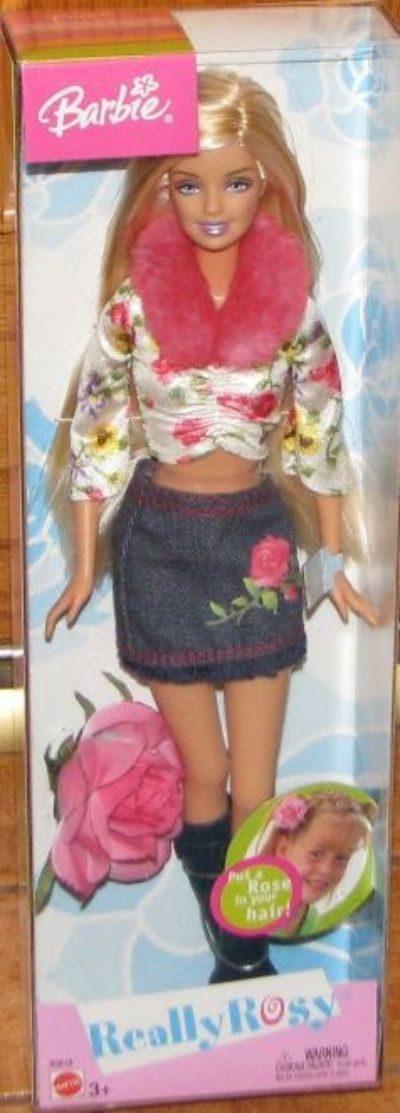 onderbreken Tien jaar Kneden Barbie Really Rosy (#B5818, 2003) details and value – BarbieDB.com